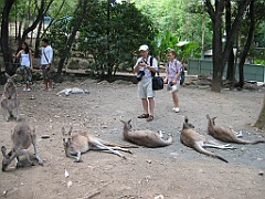 047 Cairns Tropical Zoo